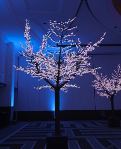 Cherry Blossom trees lighted along perimeter of Ballroom