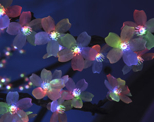 Lighted Cherry Blossoms, close-up detail